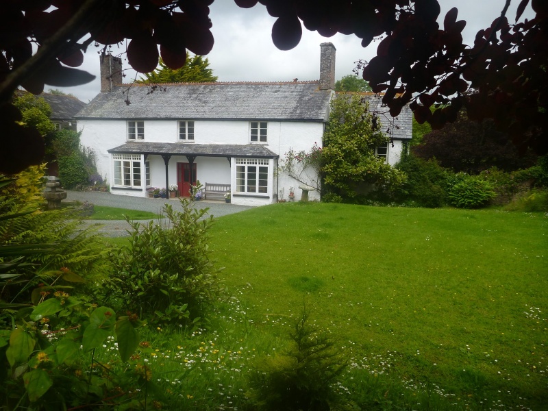 Cann Orchard, BUDE Ref: 0013