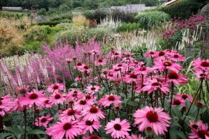 Dove Cottage